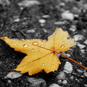 男女上色床大片免费视频APP
